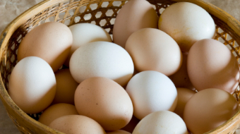 羊のカスティーリャは新鮮な卵を使っています